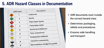 ADR hazard classes and dangerous goods categories in transport documents